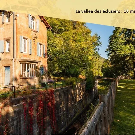 Le Combi